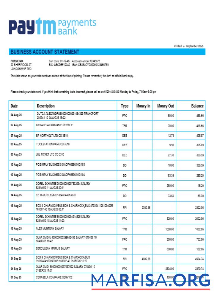 Downloadable PayTM Payments business company account statement Word and PDF format download for verification